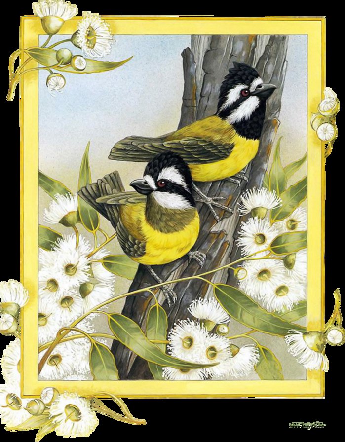 Серия Птицы - цветы, птицы, желтые - оригинал