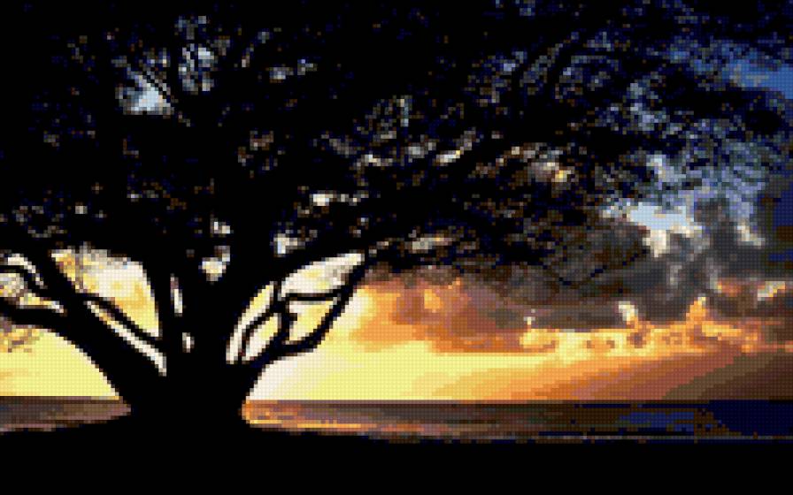 Дерево - дерево, закат, море - предпросмотр