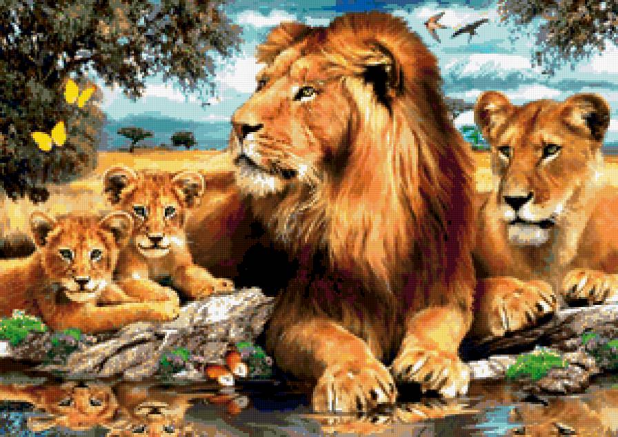 папа, мама и конечно мы - семья, хищники, у реки, лев, львица, животные, львята - предпросмотр