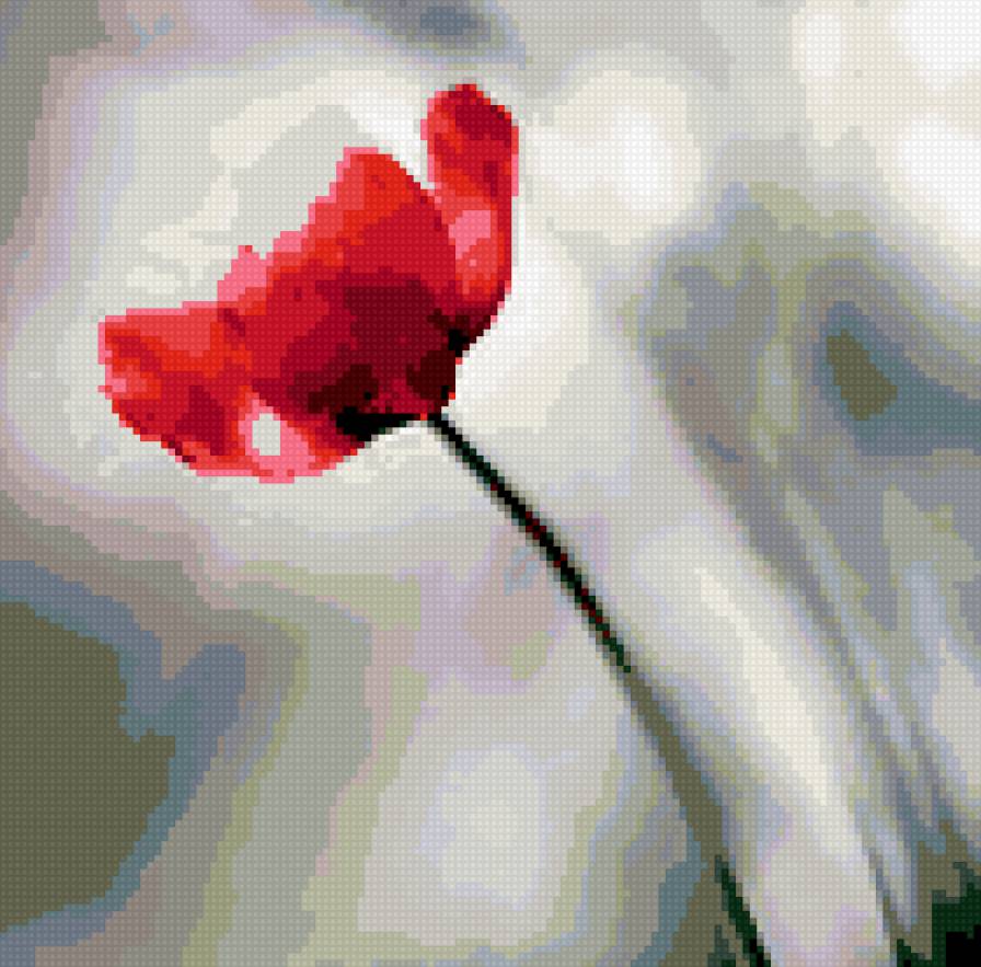 Дневной тюльпан - день, тюльпан, цветок - предпросмотр