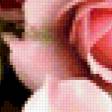 Предпросмотр схемы вышивки «Розы» (№246624)