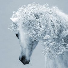 Схема вышивки «белоснежная лошадь»