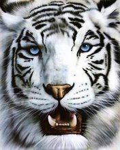 Оригинал схемы вышивки «белый тигр» (№247221)