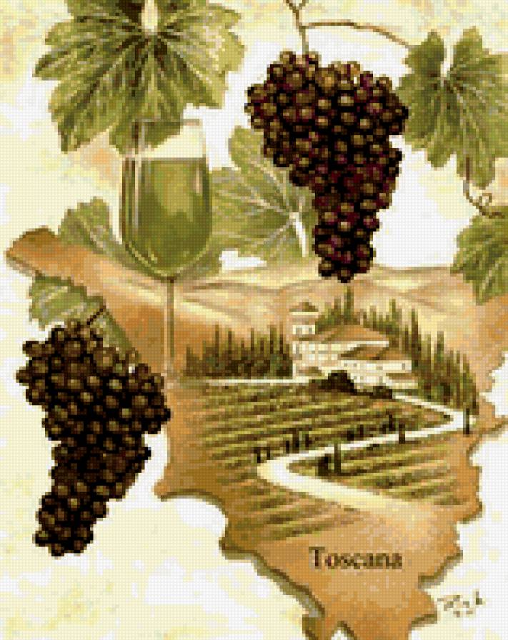 тоскана - тоскана. италия. вино. виноград. перйзаж - предпросмотр