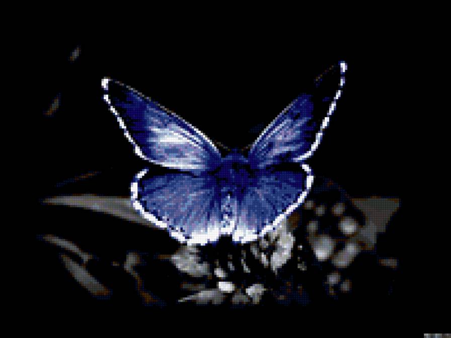 бабочка - цветок, природа, бабочка - предпросмотр