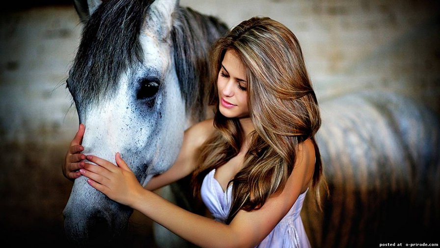 Девушка с конем - девушка, конь, лошадь - оригинал