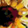Предпросмотр схемы вышивки «sunflowers1» (№248415)