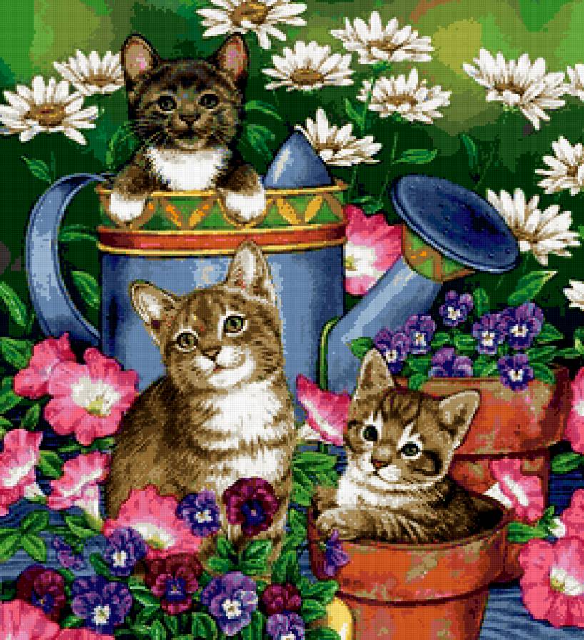 Котята в саду - цветы, котята, сад, лейка - предпросмотр