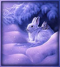 Зима. - заяц, животные, зима - оригинал