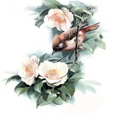 Оригинал схемы вышивки «Птица и цветы» (№249266)