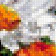 Предпросмотр схемы вышивки «кот в цветах» (№249475)