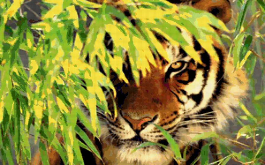тигр - тигр, прирда, тигры, дикие кошки, животные - предпросмотр