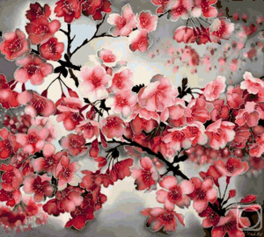 Цвет сакуры - цветы, сакура - предпросмотр