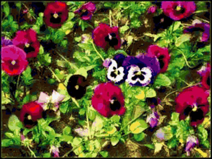 №249887 - цветы, весна, природа - предпросмотр
