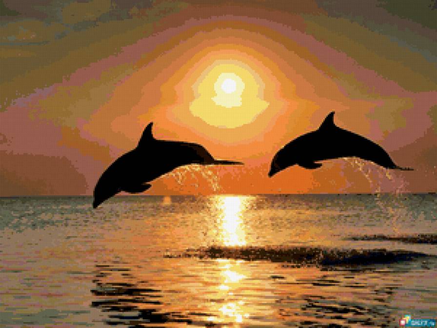 Дельфины на закате - закат, дельфины - предпросмотр