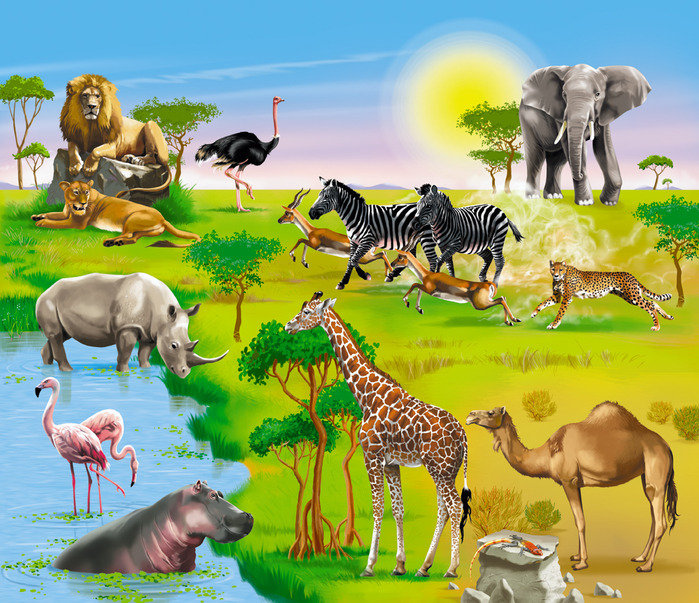 африка - природа, бегемот, львица, животные, хищники, зебра, жираф, лев, птицы - оригинал