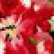 Предпросмотр схемы вышивки «тюльпаны» (№250243)