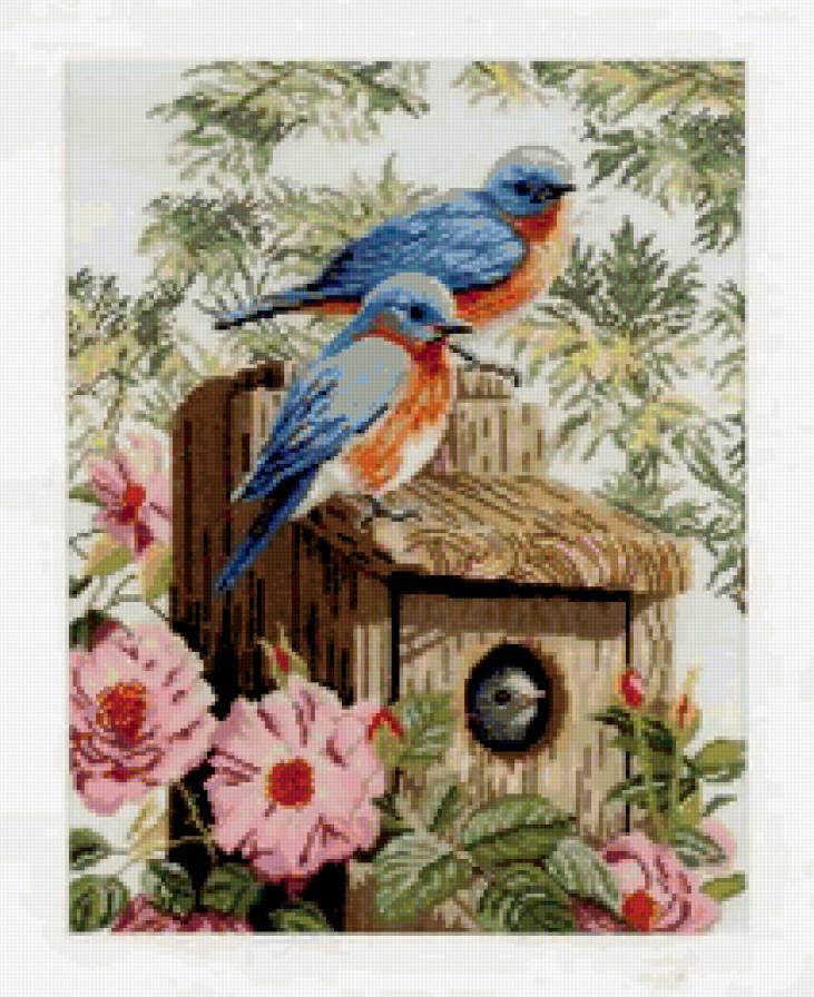 Синие птицы - птицы, цветы - предпросмотр