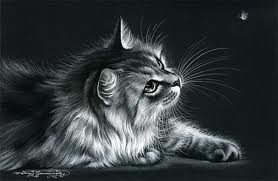 №251075 - животные, черно белое, кот - оригинал
