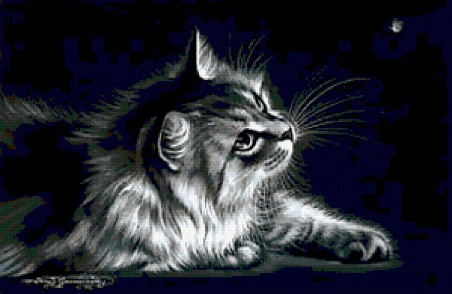 №251075 - кот, животные, черно белое - предпросмотр