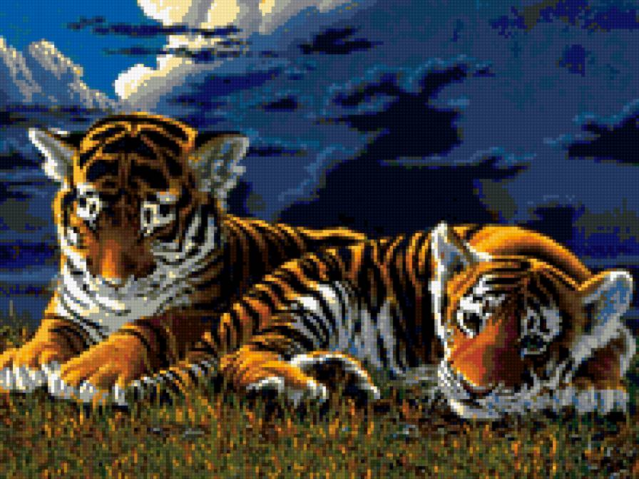 семья тигров - предпросмотр