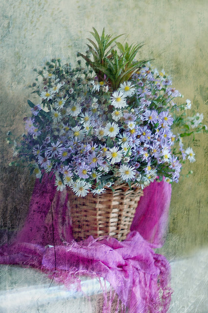 Букет с ромашками - ромашки, букет, цветы, картина, лето - оригинал