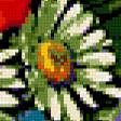 Предпросмотр схемы вышивки «Букет полевых цветов» (№252618)