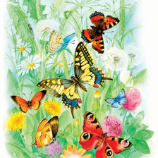 Оригинал схемы вышивки «бабочки» (№252641)