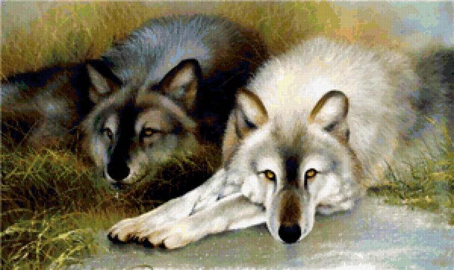 wolfs - животные - предпросмотр