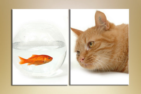 Диптих - рыба, кот, аквариум, диптих, мечта - оригинал