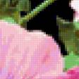 Предпросмотр схемы вышивки «Красивые розовые цветы)» (№253397)