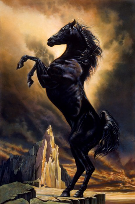 черный красавец - лошадь, животные, кони, лошади - оригинал