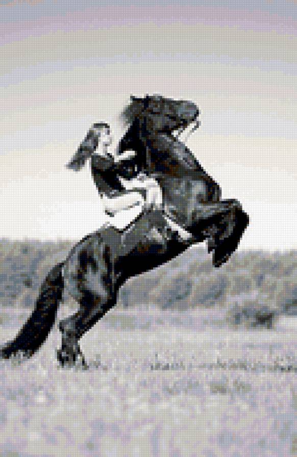девушка на коне - предпросмотр