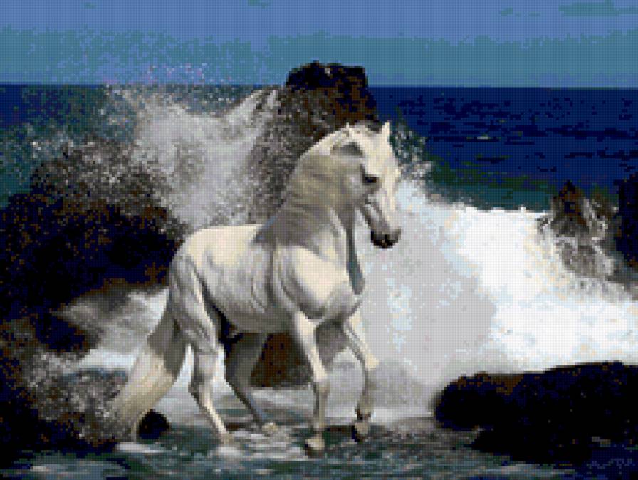 белый конь - предпросмотр