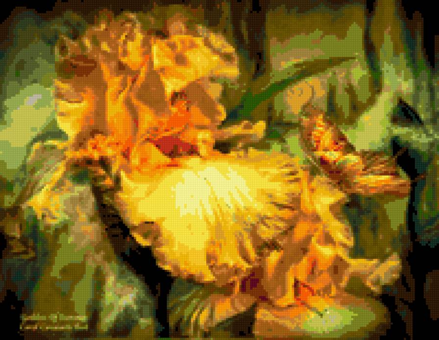 желтый ирис - цветы ирис картина - предпросмотр