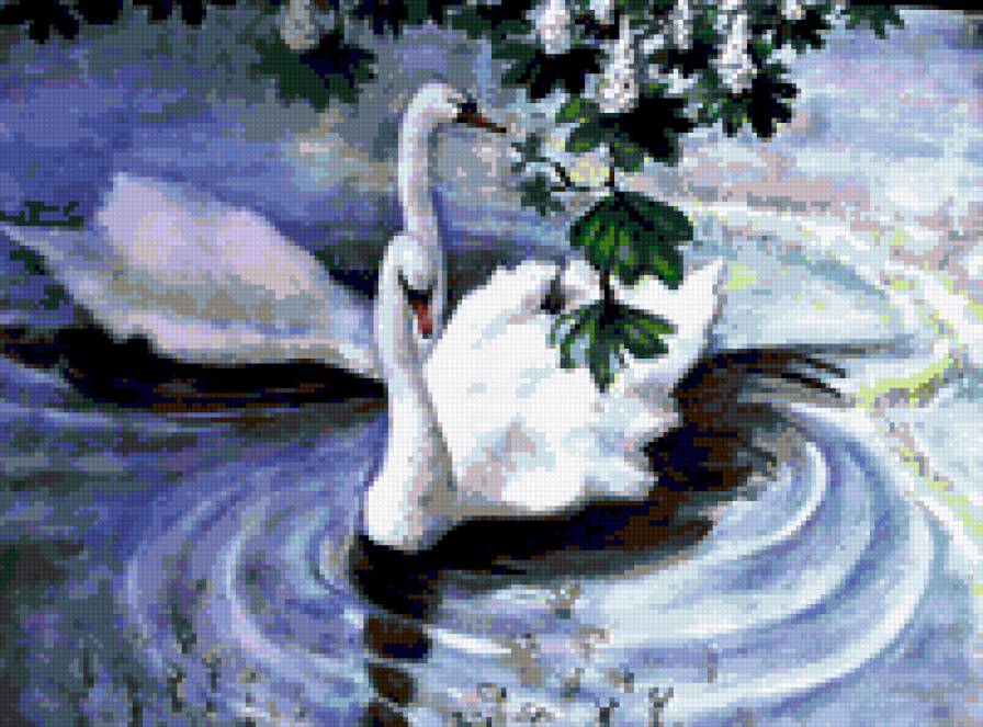 пара лебедей - лебеди картина озеро природа птицы - предпросмотр
