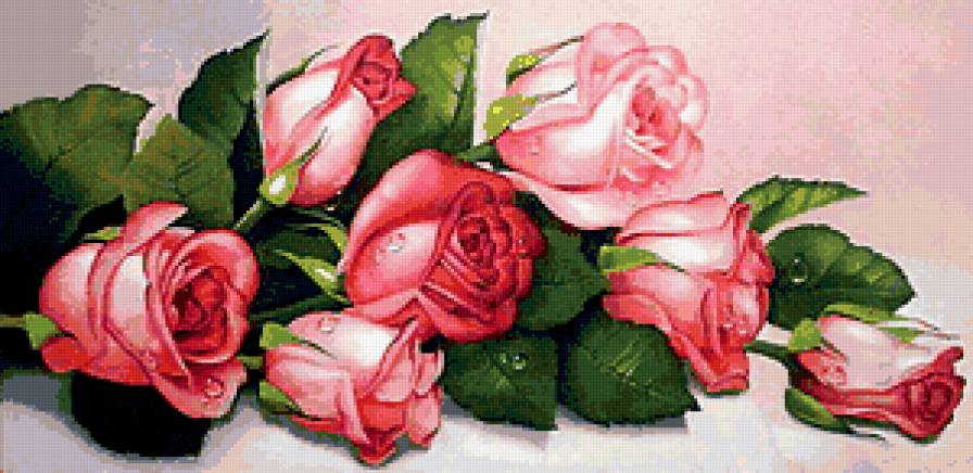 Розовые розы - розы - предпросмотр