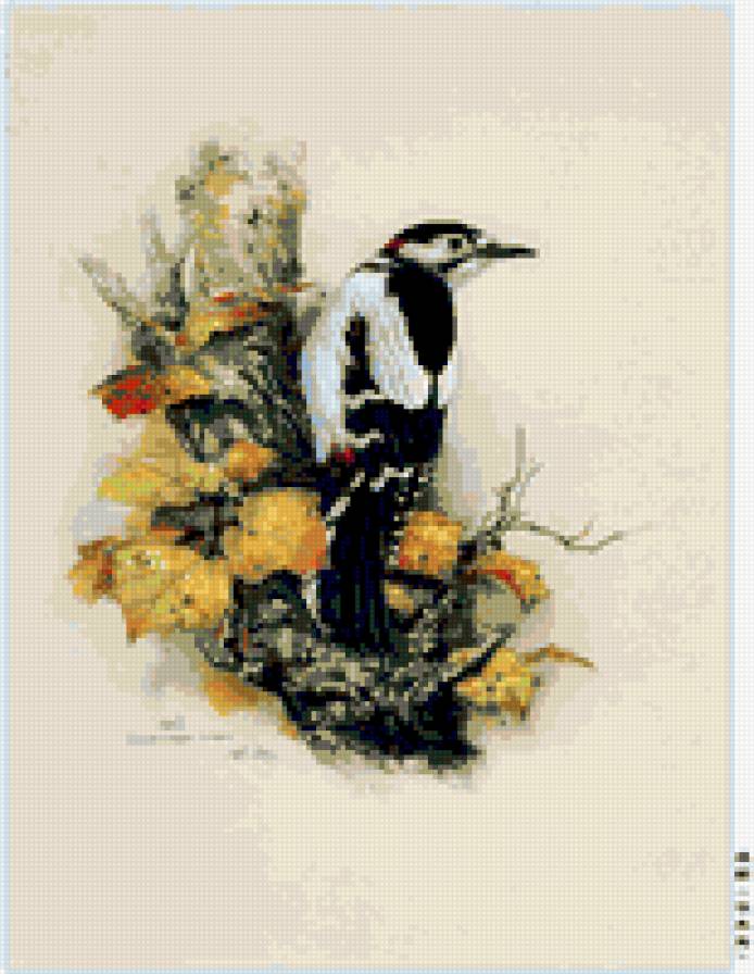 дятел - природа птица картина - предпросмотр