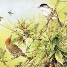 Оригинал схемы вышивки «беседа птиц» (№253676)