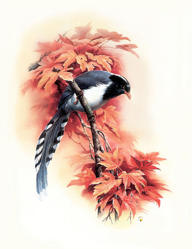 птичка на ветке - картина природа картина птица - оригинал
