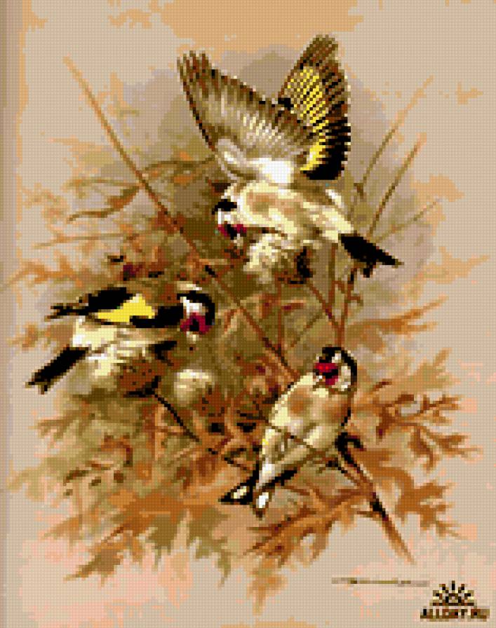 птицы - картина природа птицы - предпросмотр