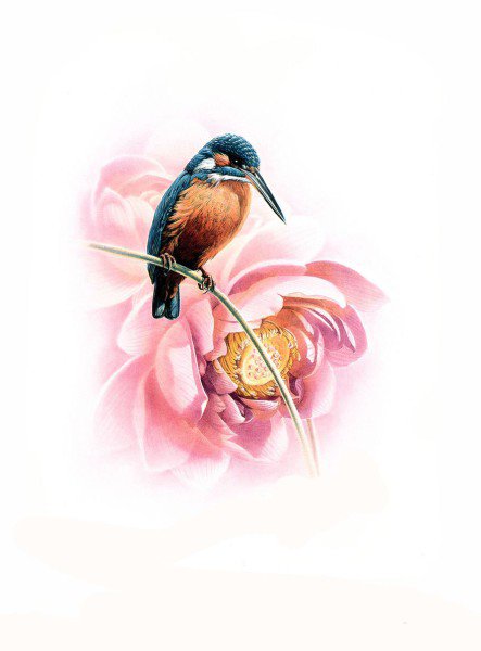 птичка и цветок - природа картина птица цветок - оригинал