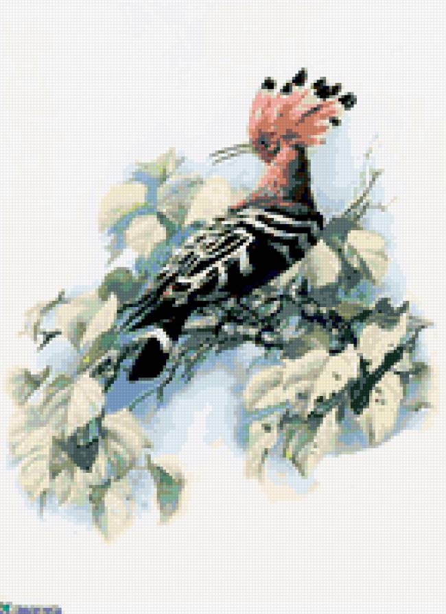 птичка - природа картина птица ветка - предпросмотр