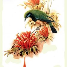 птица и цветы