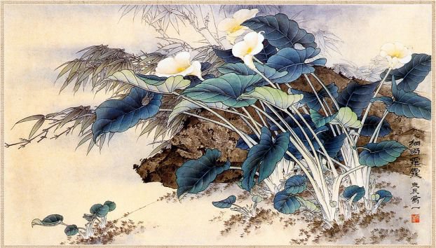 каллы - растения, гравюра, цветы, ветер, япония, пейзаж, каллы - оригинал