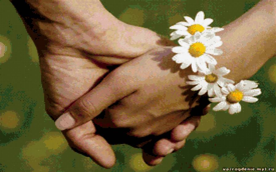 ЛЮБИ КАЖДЫЙ СВОЙ МИГ... - женская рука, романтика, мужская рука, любовь, руки, ромашки - предпросмотр