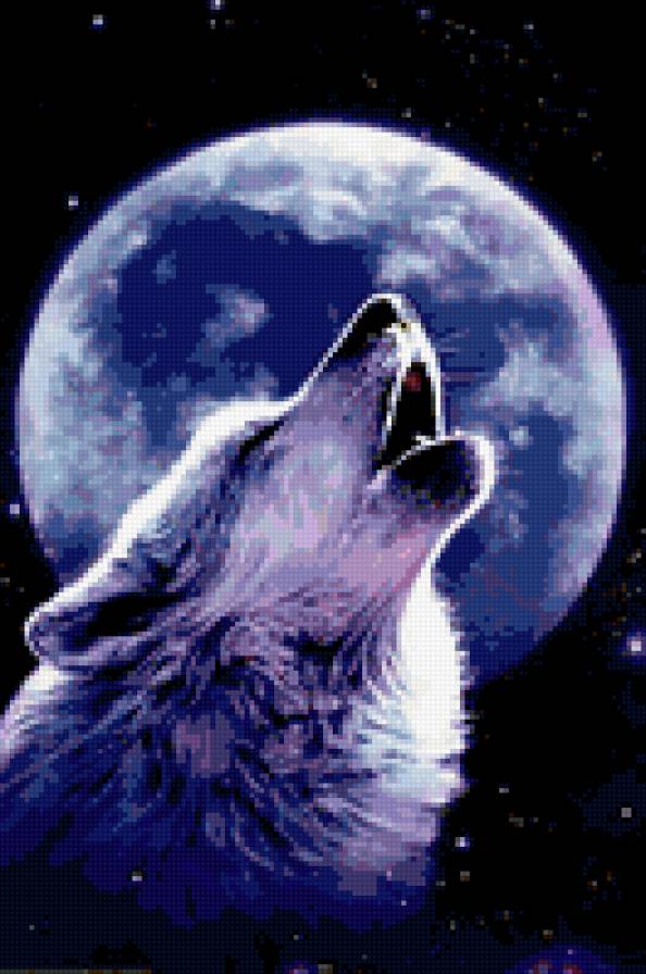 0053 - картина, волки, животные, луна, ночь, волк, красота - предпросмотр