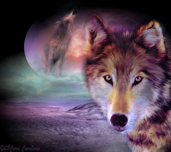 0055 - волк, картина, животные, природа, красота, ночь, волки - оригинал