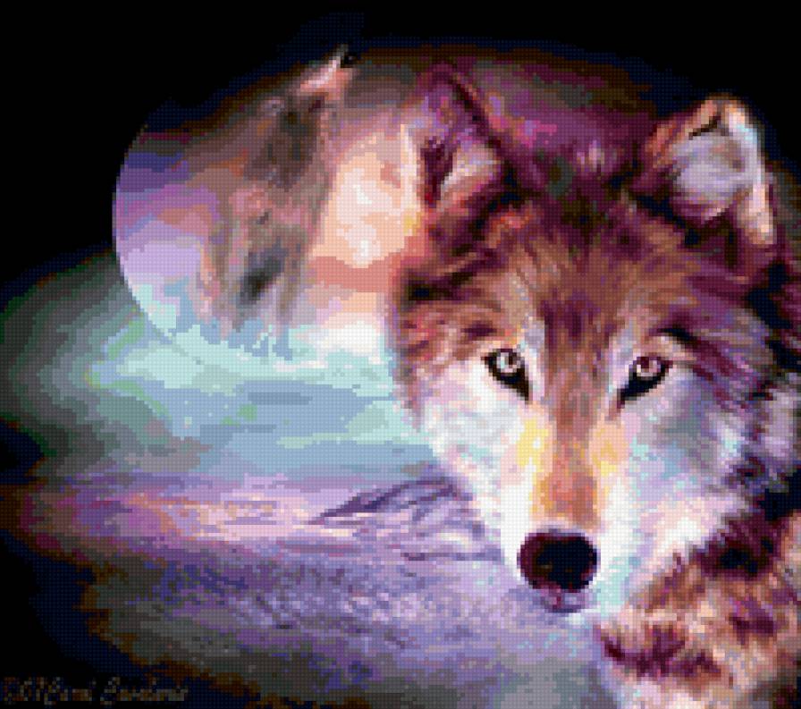 0055 - красота, волки, животные, ночь, волк, природа, картина - предпросмотр