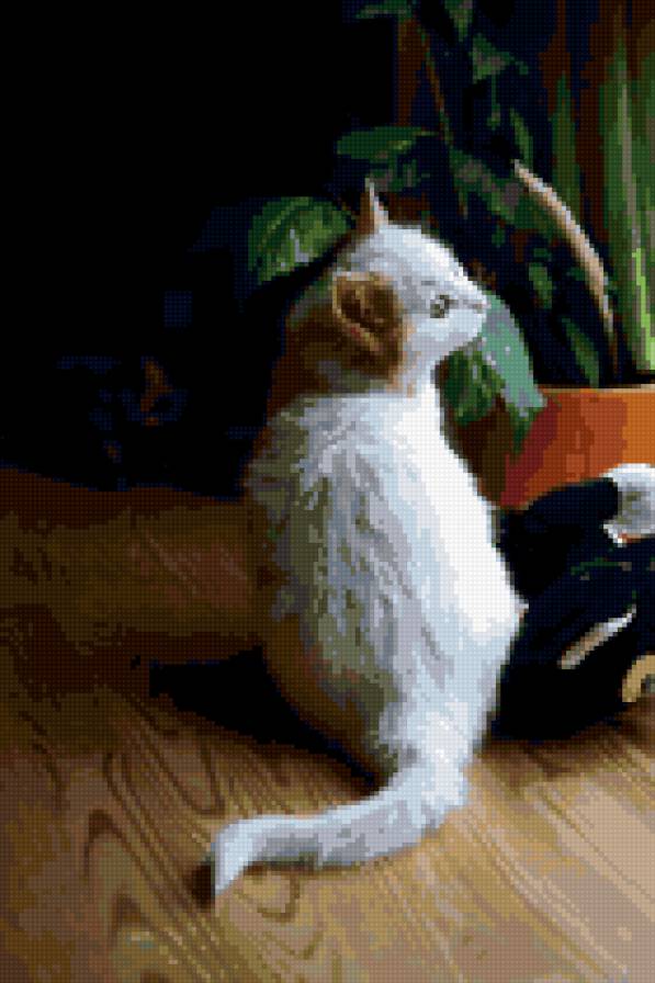 белый котёнок - предпросмотр